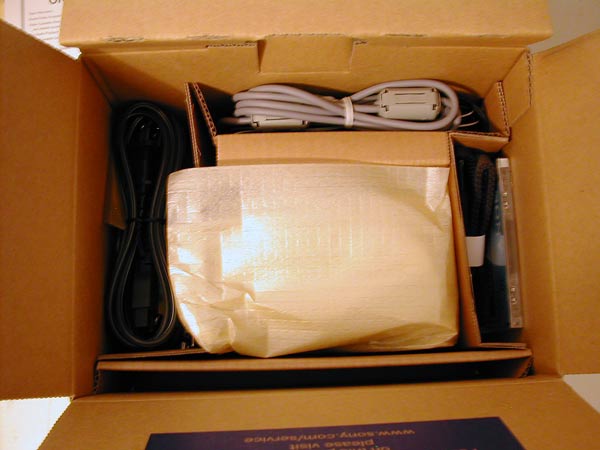 Sony Handycam DCR-DVD201 DVD Camcorder