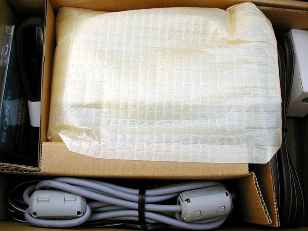 Sony Handycam DCR-DVD101 DVD Camcorder